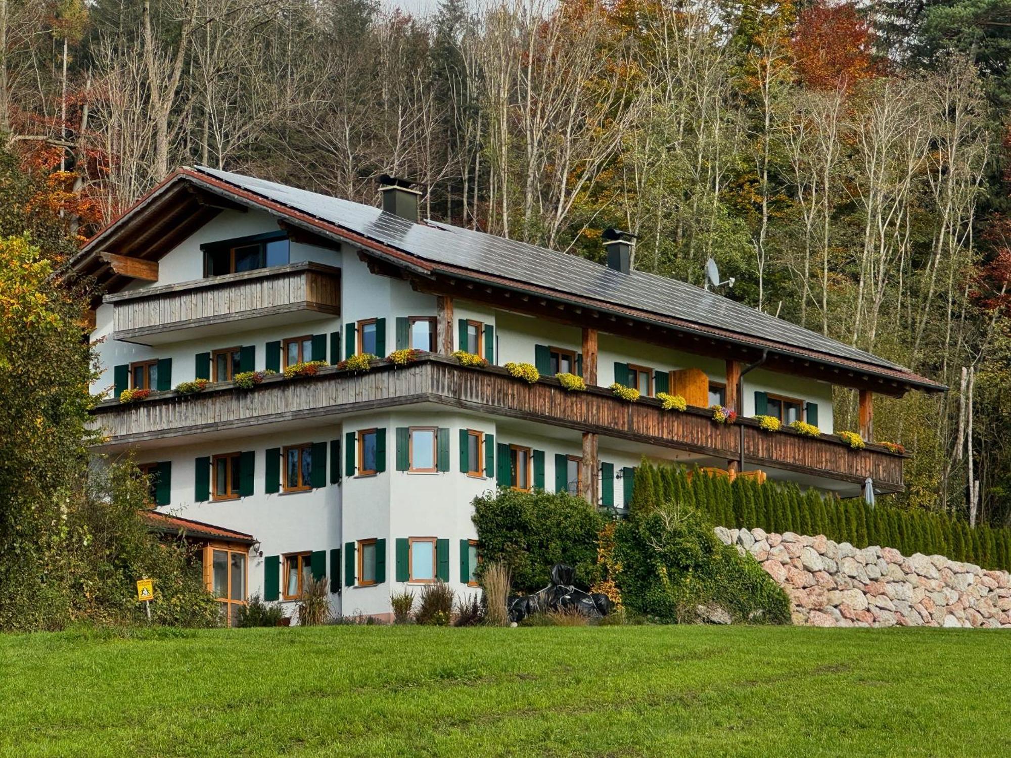 Martin'S Alm Apartment Friesenried Exterior photo